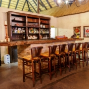 1Warthog Bar Shikwari-0994