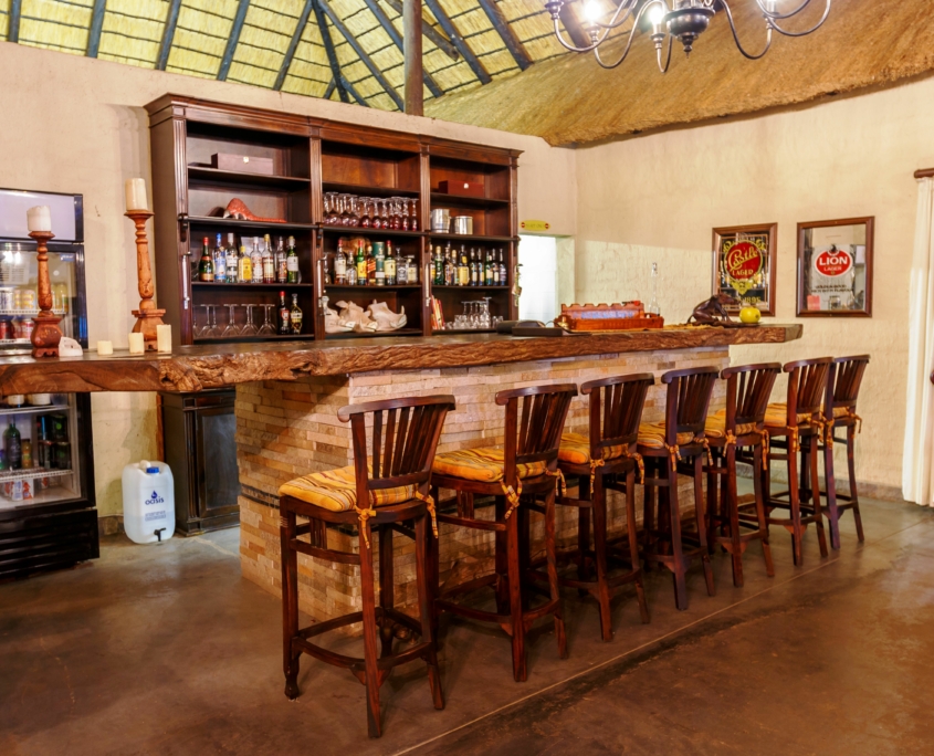 1Warthog Bar Shikwari-0994