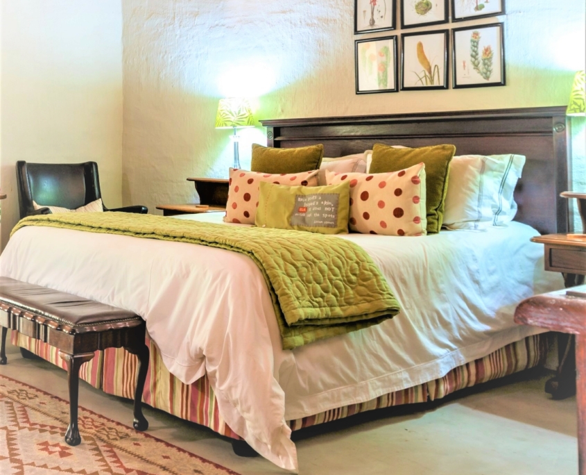 Wild fig main bedroom Shikwari-1701 - Copy (2a) - Copy